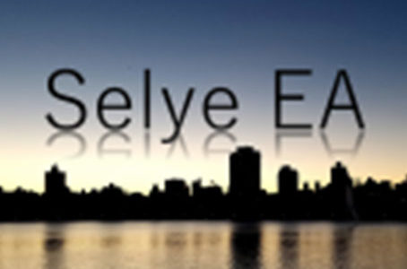 【FX自動売買EA】Selye EAの評価・レビュー・検証結果まとめ