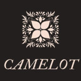 【FX自動売買EA】CAMELOTの評価・レビュー・検証結果まとめ